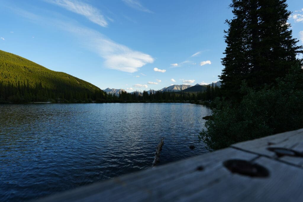 Forgetmenot Pond in Alberta reflects a clear blue sky, framed by lush green hills and distant mountains. Tall pine trees on the right accentuate the tranquil scene.