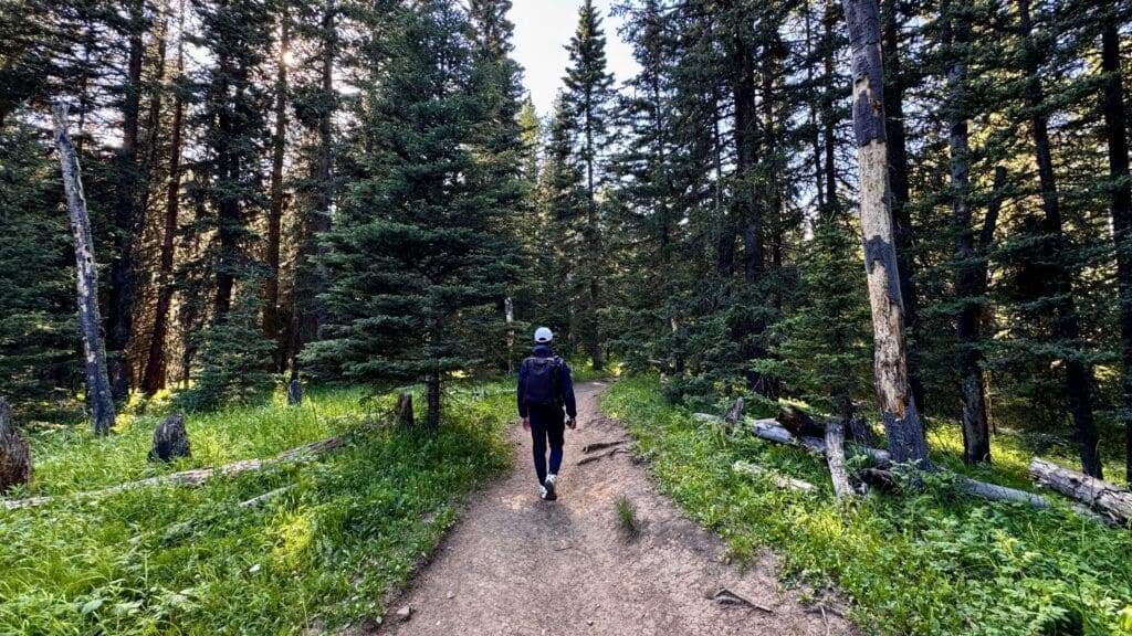 Person with backpack walks on Fullerton Loop in Kananaskis, Alberta surrounded by tall pine trees and greenery, with sunlight filtering through; serene and peaceful atmosphere.