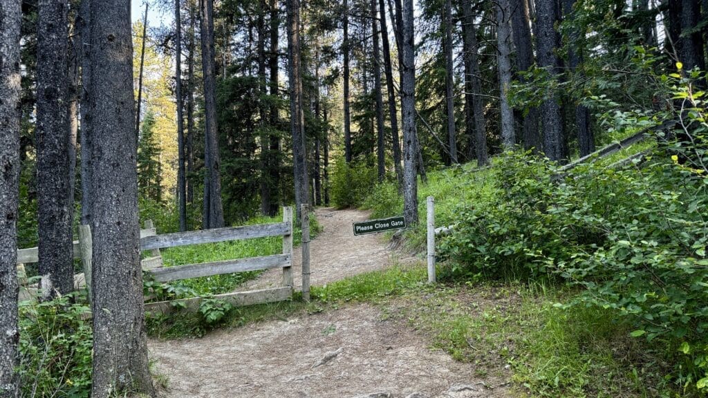 Forest path with tall trees, a rustic wooden gate, and a sign reading "Please Close Gate" along Fullerton Loop in Kananaskis, Alberta. Lush greenery under sunlit, serene sky.