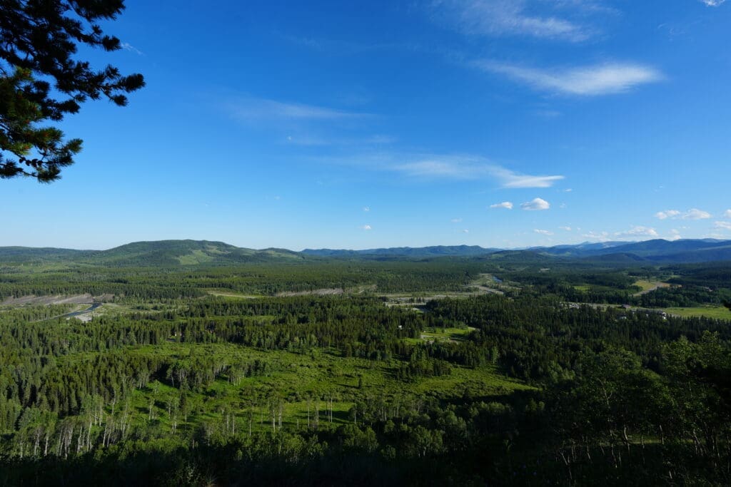 Scenic landscape of vast green forests and rolling hills viewing from Fullerton Loop in Kananaskis, Alberta under a bright blue sky, evoking a peaceful, expansive, and natural atmosphere.
