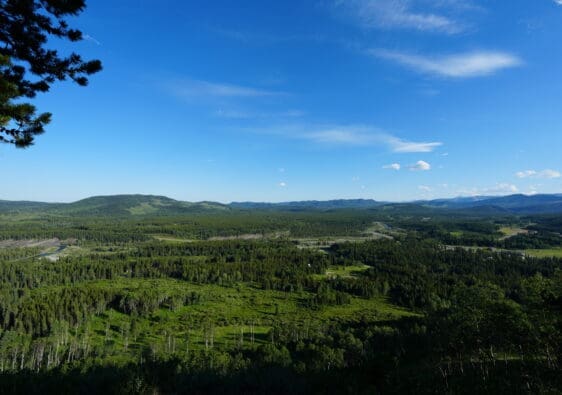 Scenic landscape of vast green forests and rolling hills viewing from Fullerton Loop in Kananaskis, Alberta under a bright blue sky, evoking a peaceful, expansive, and natural atmosphere.