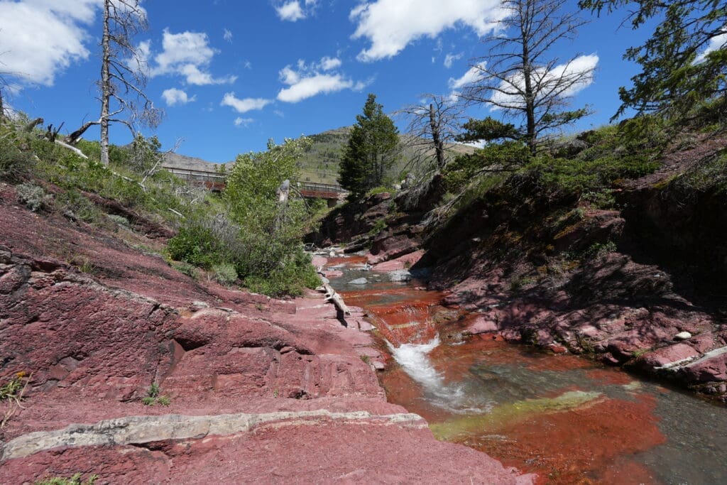 A serene creek flows between striking red rock formations in Red Rock Canyon in Waterton Lakes National Park, Alberta and lush greenery under a bright blue sky with fluffy clouds. The scene feels tranquil and vibrant.