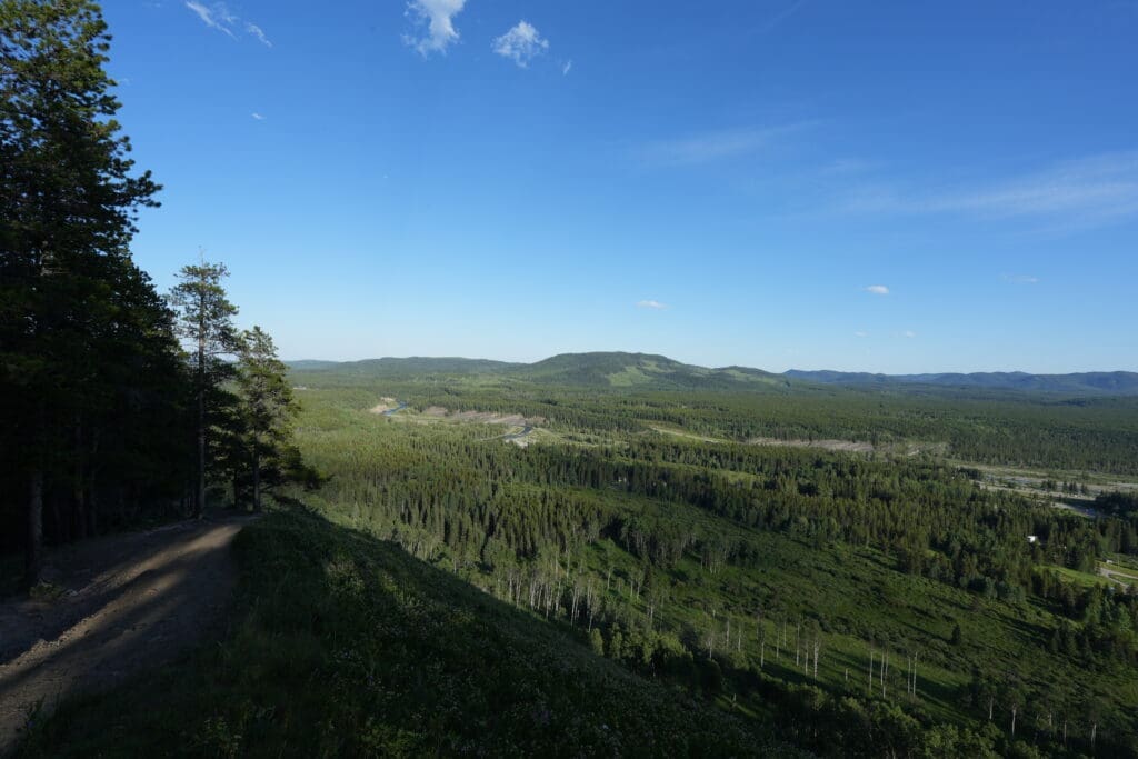 Expansive landscape view from Fullerton Loop in Kananaskis, Alberta with lush green forests under a clear blue sky. A dirt path runs along the left, bordered by tall trees, conveying tranquility.