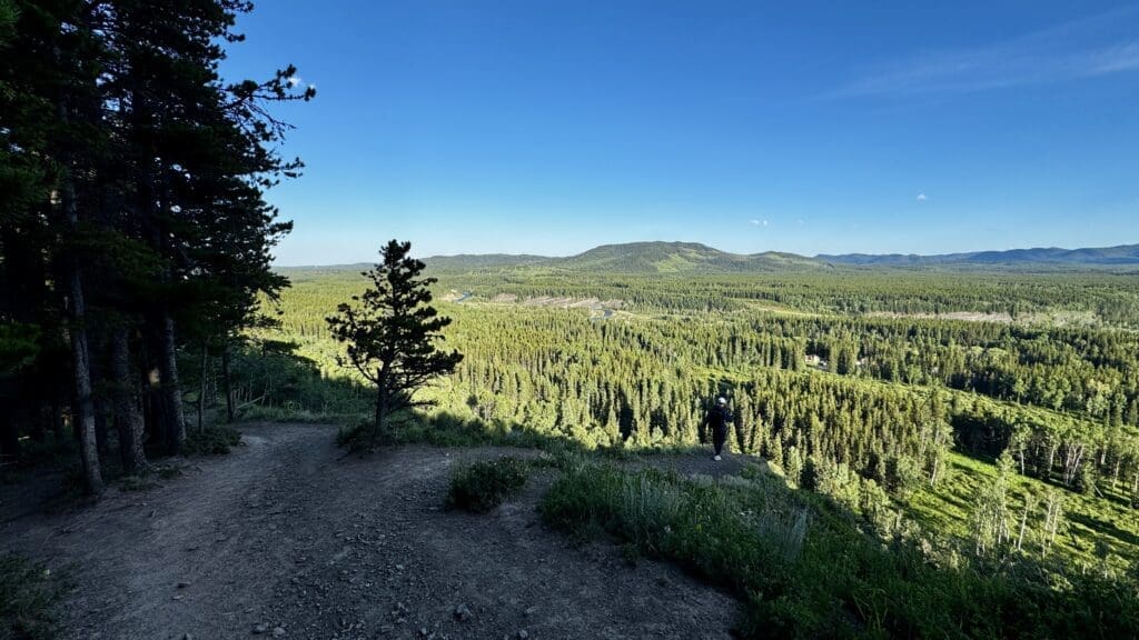 A person stands on a dirt path along Fullerton Loop in Kananaskis, Alberta overlooking a vast, lush forest under a clear blue sky. Tall trees border the path, creating a peaceful, expansive scene.