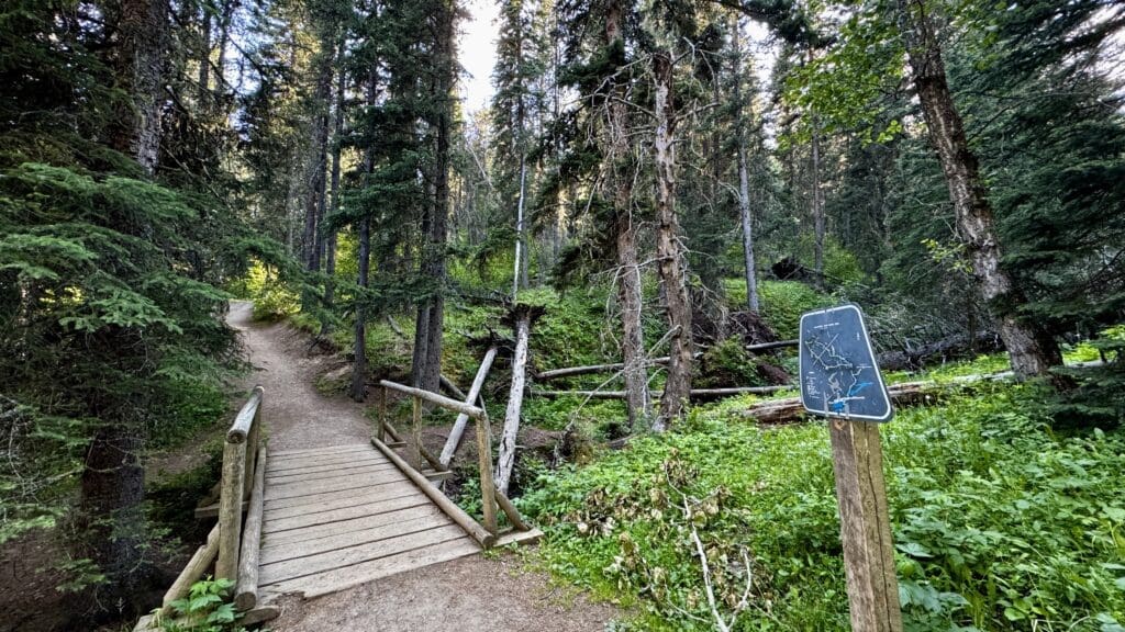 A serene forest trail features a rustic wooden bridge along Fullerton Loop in Kananaskis, Alberta leading deeper into lush, green woods. A trail sign stands among vibrant foliage under soft sunlight.