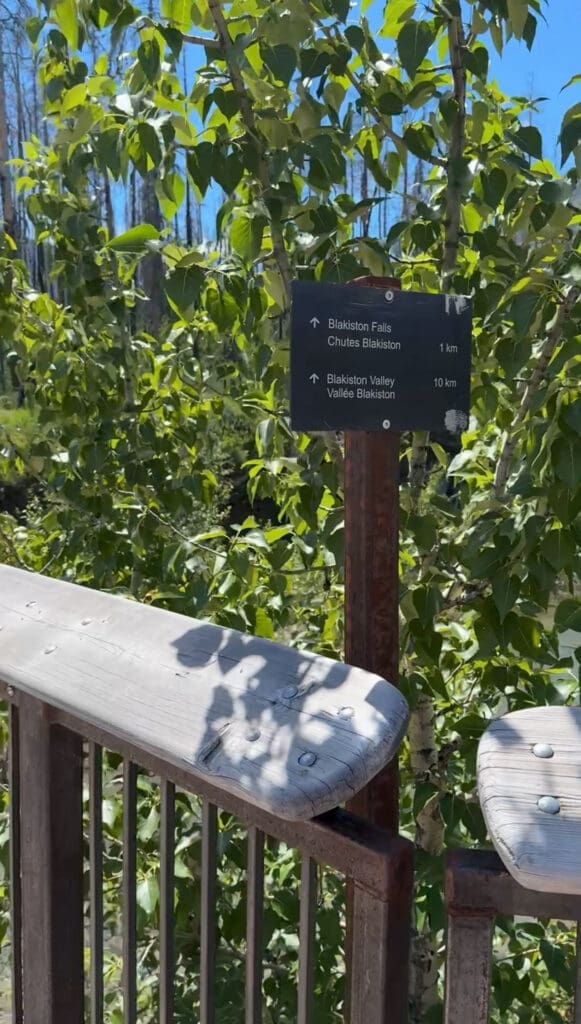 Trail sign among lush green leaves on a sunny day. Directions to Blakiston Falls and Valley in Waterton Lakes National Park, Alberta are visible. Wooden railing in the foreground.