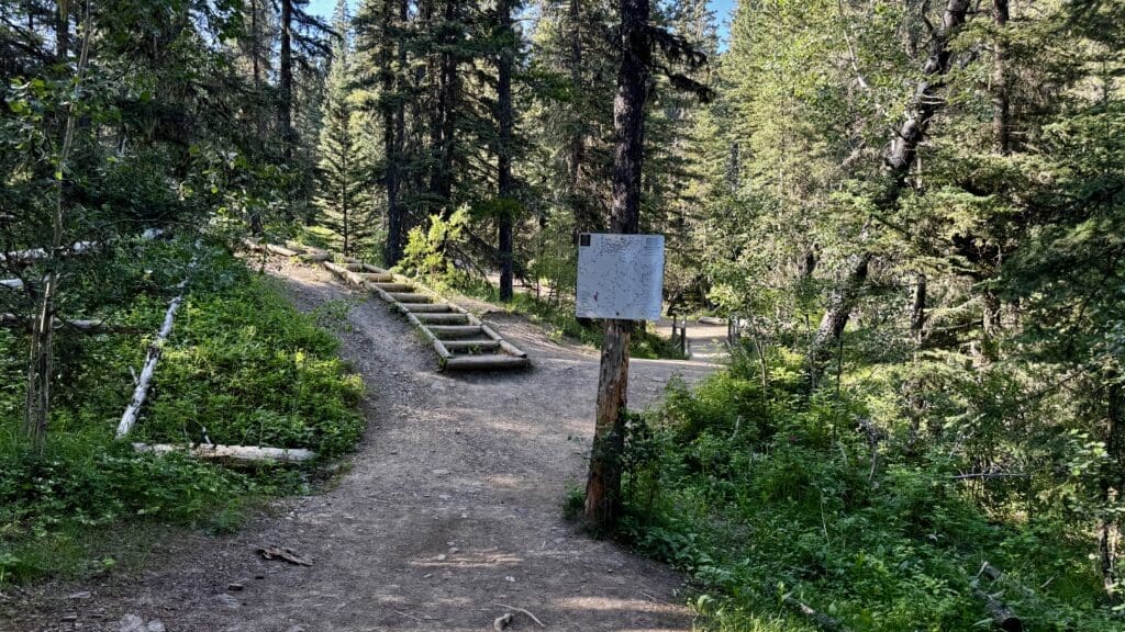Forest path with wooden steps leading uphill to Fullerton Loop in Kananaskis, Alberta, surrounded by lush green trees. A trail map is mounted on a tree, creating an adventurous atmosphere.
