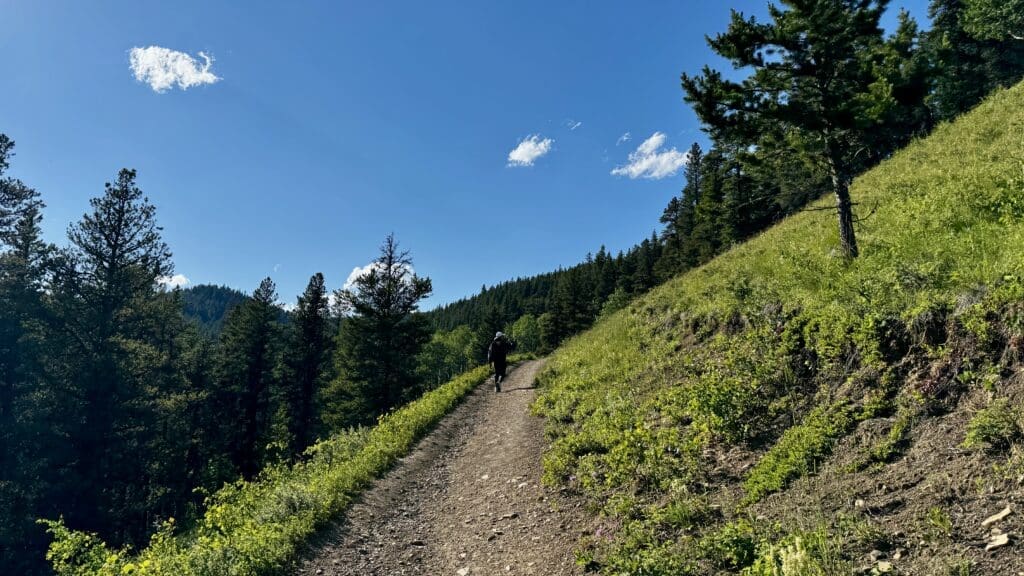 A lone hiker ascends the sunny forest Fullerton Loop Trail in Kananaskis, Alberta, surrounded by lush greenery and pine trees. The blue sky is dotted with a few white clouds, evoking serenity.
