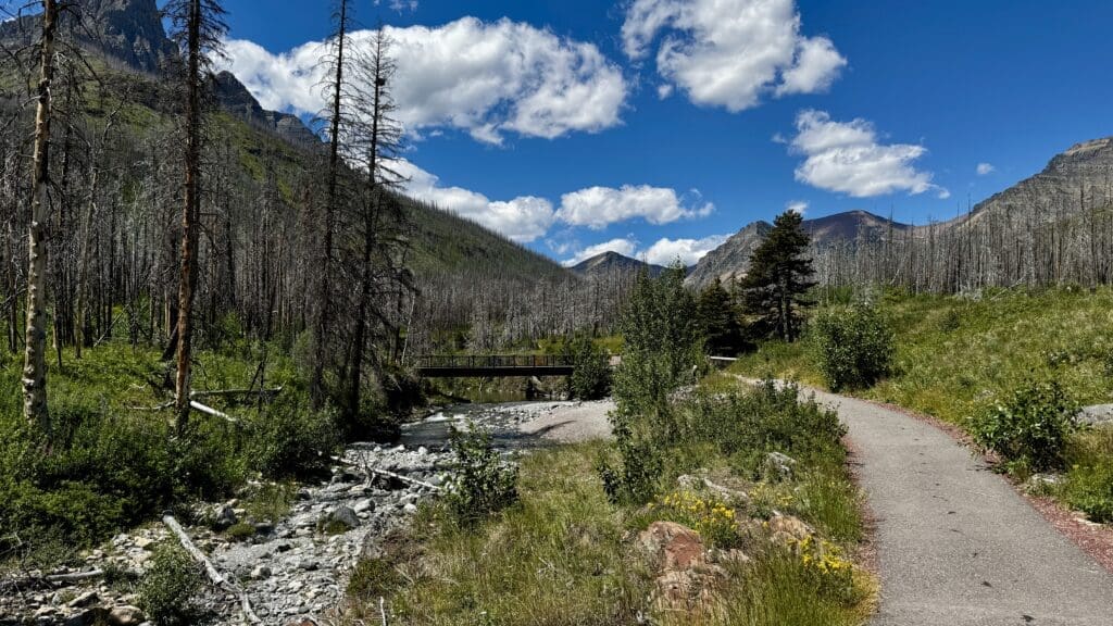 Mountain landscape with a winding path, wooden bridge, and stream in Red Rock Canyon in Waterton Lakes National Park, Alberta. Bare trees stand against a bright blue sky, dotted with fluffy clouds. Peaceful scene.