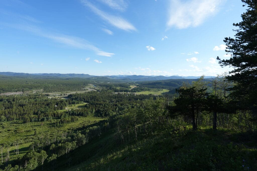 Expansive view of a lush green valley with rolling hills and distant mountains under a clear blue sky from Fullerton Loop in Kananaskis, Alberta, evoking a sense of tranquility and openness.