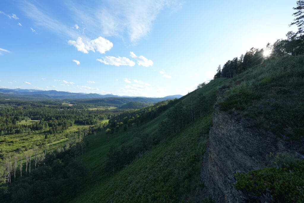 Expansive landscape in Fullerton Loop in Kananaskis, Alberta with rolling green hills, dense forest, and distant mountains under a bright blue sky with scattered clouds. Sunlight peeks through trees.