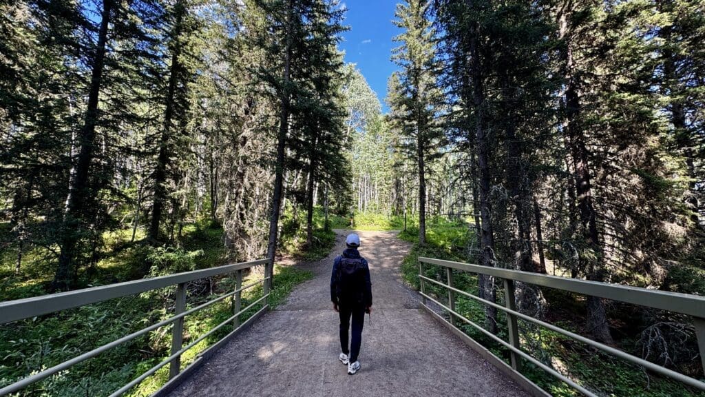 A person with a backpack and cap walks across a bridge along Fullerton Loop in Kananaskis, Alberta into a sunlit forest, surrounded by tall trees under a bright blue sky, conveying tranquility.