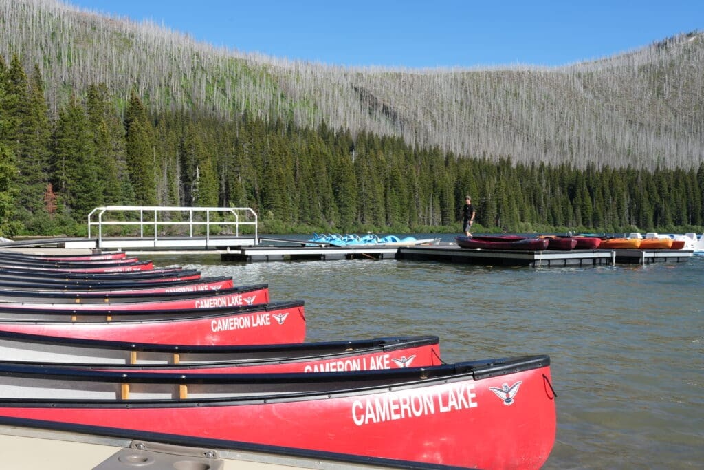 Row of red canoes labeled "Cameron Lake" in Cameron Lake in Waterton Lakes National Park, Alberta line a dock on serene water, with a vivid green forest and mountain under a clear blue sky in the background.