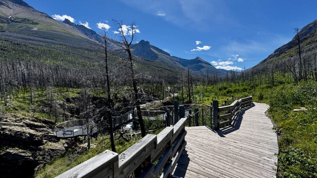 Wooden walkway of Blakiston Falls Trail in Waterton Lakes National Park, Alberta winding through a lush valley, surrounded by mountains and charred trees under a clear blue sky, conveying tranquility and renewal.